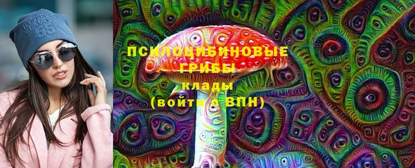 ешки Алексин