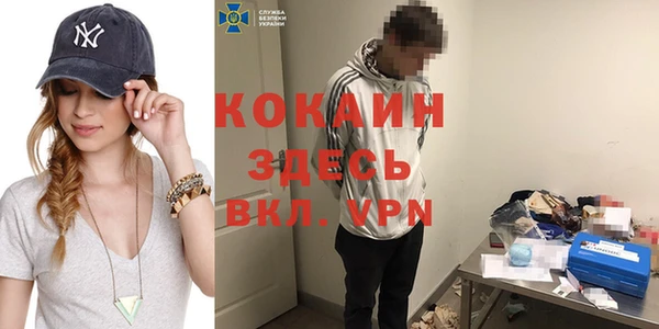 ешки Алексин