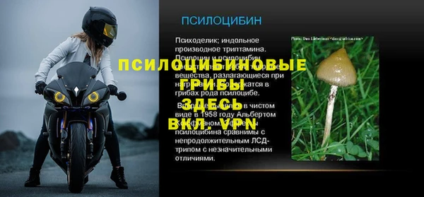 СК Алзамай